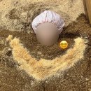 내몸에효소욕