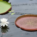 행운쉼터 이미지