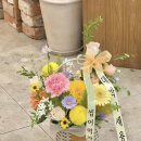 푸실 | [쇼핑] 용인죽전 꽃집 푸실 시어머니 환갑 꽃바구니 후기