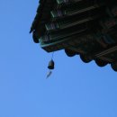 삼매