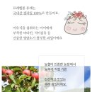 벨롱