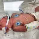 샤니안경 이미지