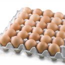 다온 할인마트(식자재) 이미지