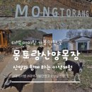 산꼭대기 목장 | 태백 여행 하늘과 맞닿은 '몽토랑산양목장 뷰카페' 아이와 함께한 이색체험