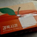 아오리 | [다니에르 리뷰] 맛있는 아삭한 썸머킹 사과 아오리사과 후기