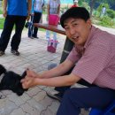 우농타조농장 이미지