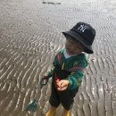 몽산포 휴림 | 태안 여행 몽산포 갯벌 체험 (몽산포휴림펜션,트레블브레이크)