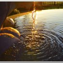 수행정사 이미지