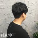 쉐르헤어 - 대덕구 | 쉐르헤어