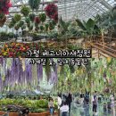 청심평화월드센터 | 가평 가볼만한 곳 가평베고니아새정원 사계절 꽃, 실내 동물원