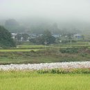 상복농장 이미지