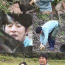 돌담귤밭