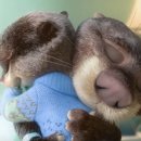 주토피아 이미지