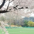 대우당구장 이미지