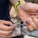 한걸음더 재활한방 동물병원 이미지