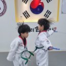 한국체대 마스터한 태권도 이미지