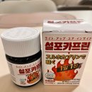 인더카 | 인퓨라젠 설포카프린 후기! 내장지방 염증 지방 동시 해결