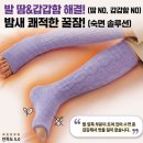 와사비네코 | 어머니 다리저림, 장단지 뒤틀림에 직빵! 와사비네코 주물주물 종아리 레그워머 솔직후기 (가격 비교 꿀팁)