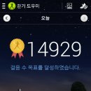 하루월남쌈 이미지