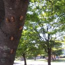 마천중학교 이미지