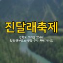 미꾸지 펜션 | 강화도 고려산 진달래축제 2026: 일정·등산코스·맛집·주차 완벽 가이드