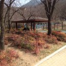 새천년농원 이미지