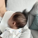 모로반사 심한 아기라면 머미쿨쿨 크롭으로 꿀잠 재우기