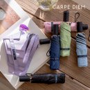 카르페디엠 | [내돈내산] 카르페디엠 안전중봉 자동 양우산 사용후기