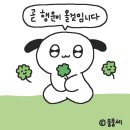 life = 스펙타클 🌟