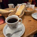 김천시 관광안내소 | (2026.01) 엄마랑 일본 가고시마 3박4일 도심여행