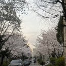 갈매기초장 | 야장 맛집 미갈매기살| 종로3가 근처 야장 포장마차 맛집 내돈내산 솔직후기(ft.종로미갈매기, 청춘포차)