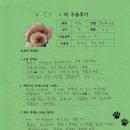 1463 | [#1463] 갈비(양측 슬개골탈구 G2, G3)의 수술후기