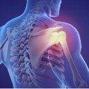 365용호한의원 이미지