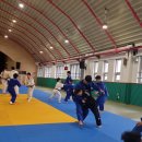 민앤마이노 유도클럽 | 남양주시 유도인의 합동훈련! [민앤마이노 유도클럽 덕소점]