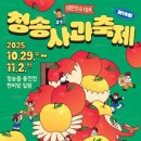 청송군민운동장 테니스장 | 2025 청송사과축제 일정 총정리🍎 축제 라인업 공개 가을 가족여행 코스로 추천