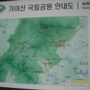 가야 - 제주시 | 가야