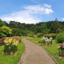 안면도자연휴양림 이미지