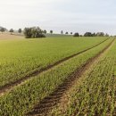 임가농장 이미지