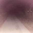 _나루터로2-14 이미지