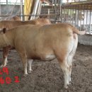 태영한우농장 이미지