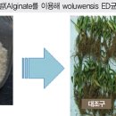 디에스그린(주) 이미지