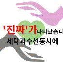 로얄세탁소 티스토리