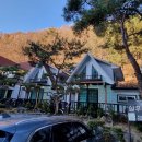 실우봉봉 이미지