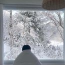 스테이 사계 이미지