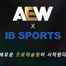 IB 스포츠, AEW 중계 확정 이미지