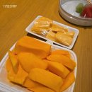 김해삼성어린이집 | 251017 ~ 251022 세가족 베트남 다낭여행기