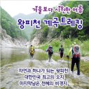 8월5일 여행사랑 예정 / 울진 왕피천계곡 트래킹 이미지