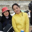 대가초등학교 이미지