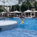 4공단로1L-58 | 다낭 태교여행] 신라모노그램 다낭 조식, 수영장, 다낭 더힐스파, 조조씨푸드, 호이안 소원배 솔직 후기