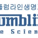 플럼라인 이미지